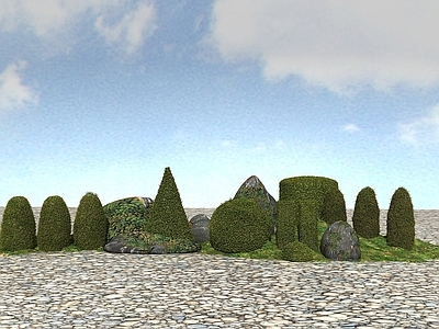 现代景观灌木植物