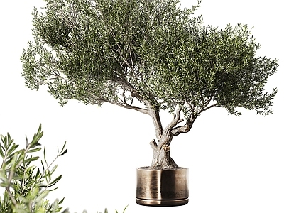现代欧式花钵 花钵