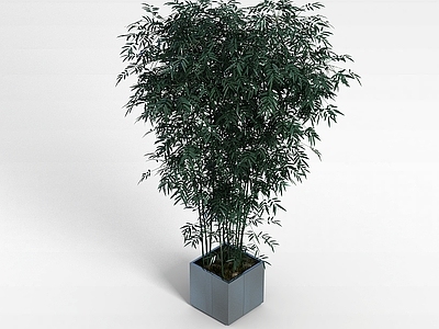 现代办公桌 绿色室内植物
