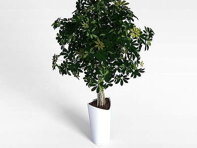 现代办公桌 盆栽室内植物