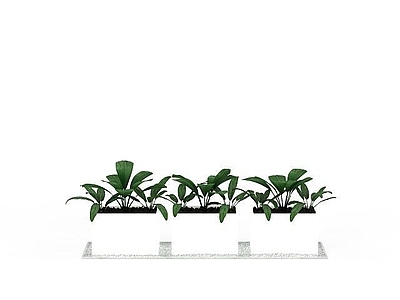 现代佛龛 室内花草
