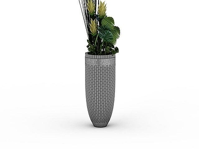现代佛龛 观赏植物