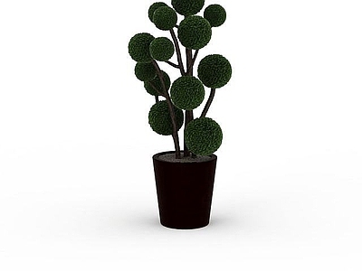 现代佛龛 室内观赏植物