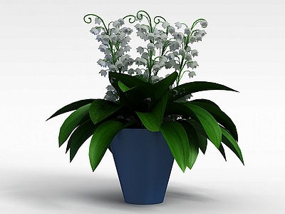 现代办公桌 白色室内植物