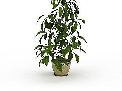 现代办公桌 室内绿色植物