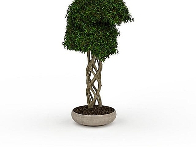 现代办公桌 室外植物