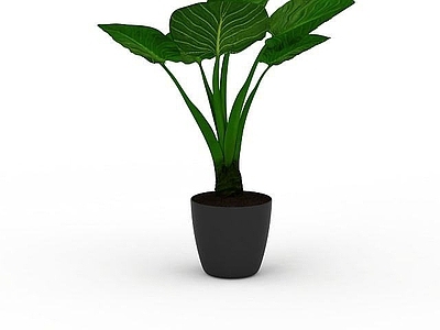 现代佛龛 小型盆栽植物