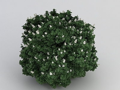 现代办公桌 白花绿叶植物