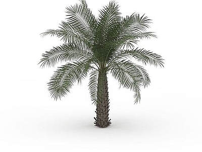 现代办公桌 大型景观植物