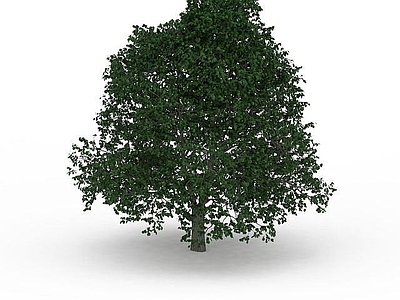 现代办公桌 绿叶植物