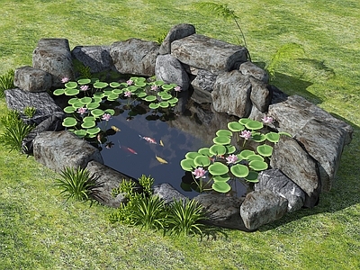 现代新中式水景 生态鱼池 荷花池 锦鲤池 锦鲤 鲤鱼 荷花