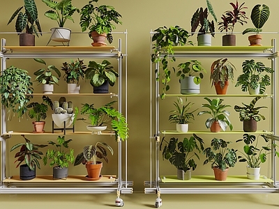 盆栽 花架 绿萝 小盆景 植物花架 光轴置物架