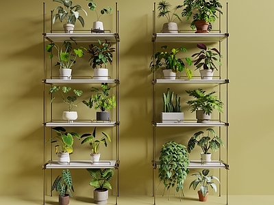 盆栽 花架 绿植花架 小盆景 绿萝 置物架