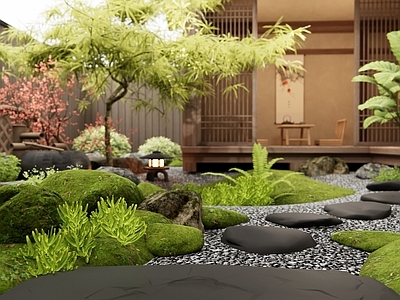 新中式禅意庭院 汀步 苔藓 羽毛枫 枯山水 灌木