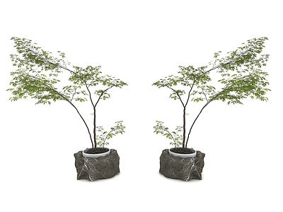 现代风格植物
