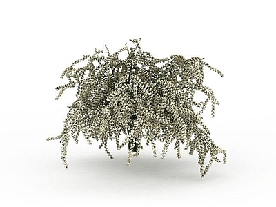 现代佛龛 白色碎花植物