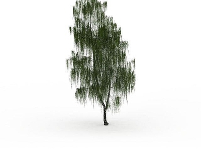 现代办公桌 园林柳树