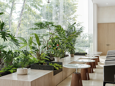 植物堆 植物堆 绿植 公司休闲区 前厅休息区