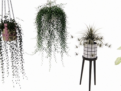植物组合 植物吊盘 盆栽组合 树池植物组合