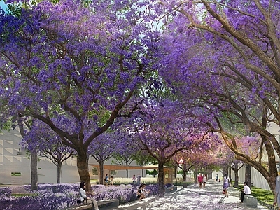现代街道外景 校园景观 花园大道 道路 人行道