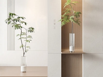 水生植物 水生植物 玄关绿植摆件