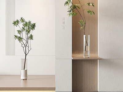 水生植物 水生植物 玄关绿植摆件