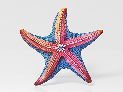 水生类动物 海星 海洋生物 标本样品展览展示 科普教育手办公仔 玩具玩偶饰品装饰 美陈道具游戏道具