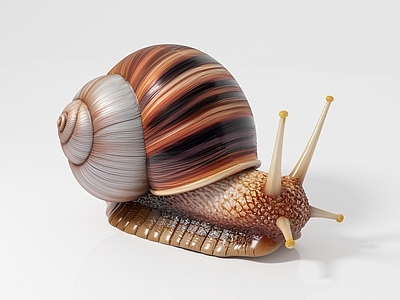 爬行类动物 蝸牛仆累瓜牛蜒蚰 爬虫爬宠标本样品 科普教育展览展示 手办摆件仿真摆件 美陈道具打卡合影