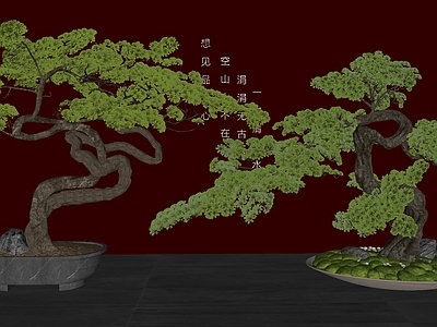 现代庭院小品 庭院造型松 小品艺术雕塑