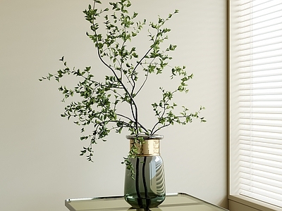 现代简约花瓶 现代水生植物 玻璃花瓶