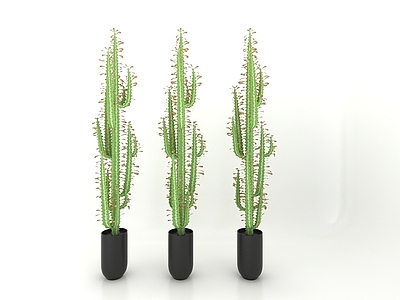 现代风格植物