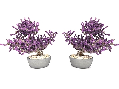 现代风格植物