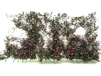 现代植物花墙