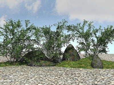 现代景观植物丛生灌木