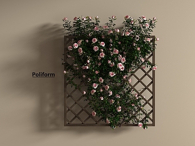 藤蔓 绿植花架藤蔓 墙