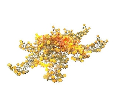 现代黄色玫瑰花