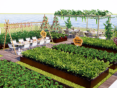 现代乡村庭院 菜园菜地 小菜园 蔬菜 户外露营 瓜棚