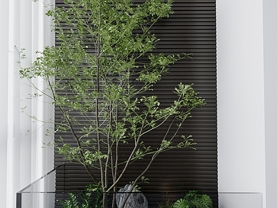意式极简住宅景观 景观 造景 绿植 植物堆