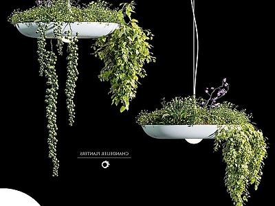 现代轻奢吊灯 装饰吊灯 艺术吊灯 植物灯 餐厅吊灯 植物