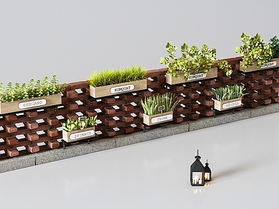植物堆 现代植物围墙 植物堆