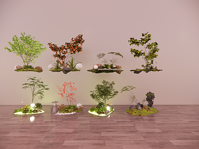 植物组合 禅意植物 室内植物 植物小品 枯山水植物 中式植物