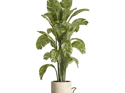 现代欧式花钵 花钵