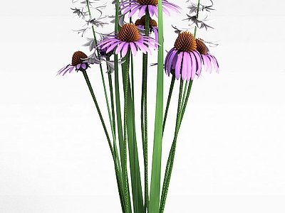 现代佛龛 花卉植物