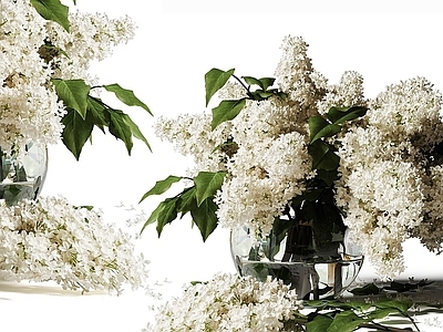 现代花艺 玻璃花瓶 花艺摆件 艺术插花 鲜花花卉 桌面花艺摆件