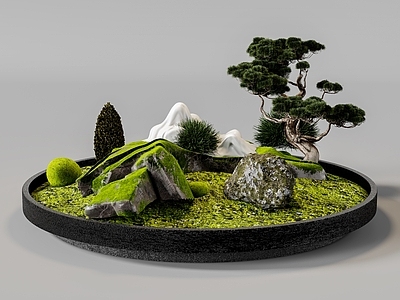 植物组合 新中式植物景观 盆栽组合 树池植物组合