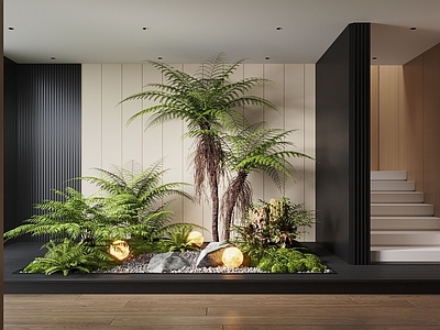 现代室内景观 现代室内景观造景 苔藓景观 景观小品 植物景观 景观石