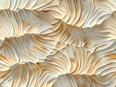现代自然地面 贝壳 海滩 贝壳形态 自然 海边地面