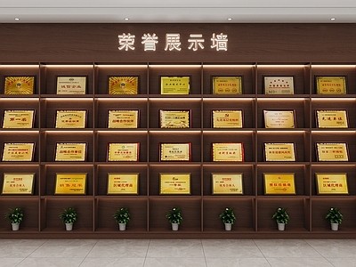 现代其他柜子 荣誉展示柜