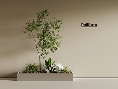 景观树 现代景观小品 景观树