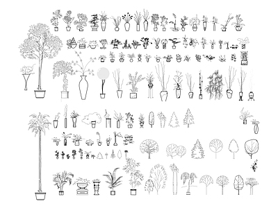 综合植物图库 植物立面图库 施工图